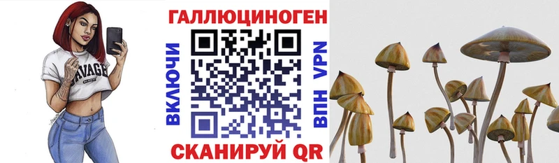 Галлюциногенные грибы мухоморы  Никольское 